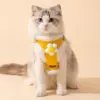 100579-71b540.webp Winter Warm Dog Harness Leash Set