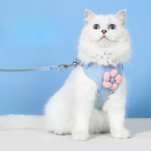 100590-d48ec8.webp Flower Design Pet Harness & Leash Set - Double Buckle Dog & Cat Leash Kit
