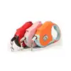 Retractable Dog Leash with LED Flashlight
