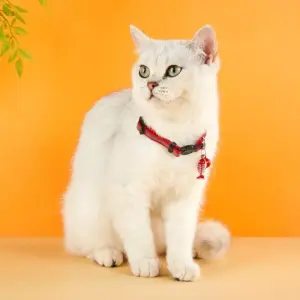 Madden Reflective Cat & Small Dog Collar - Adjustable with Bell, 8 Colors