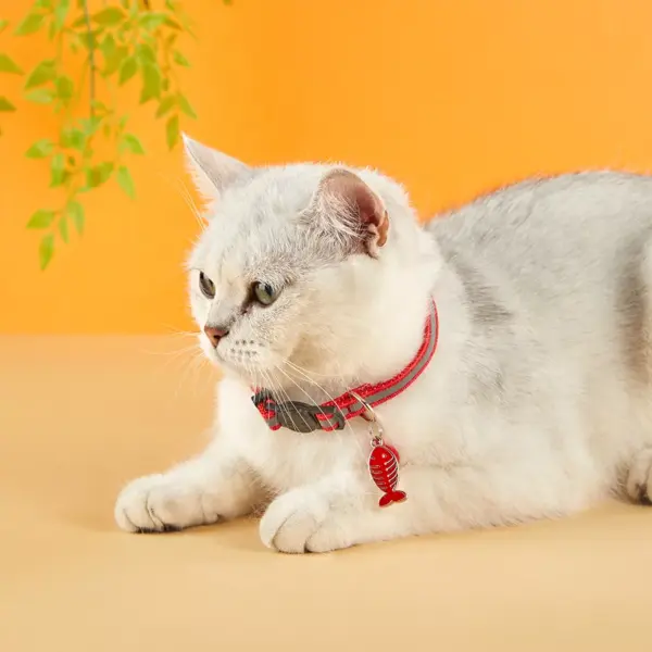 100709-ce815e.webp Madden Reflective Cat & Small Dog Collar - Adjustable with Bell, 8 Colors
