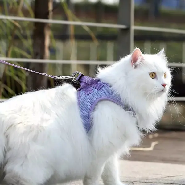 100745-5cad42.webp Reflective Cat & Dog Harness Leash Set