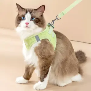 100745-6c7305.webp Reflective Cat & Dog Harness Leash Set