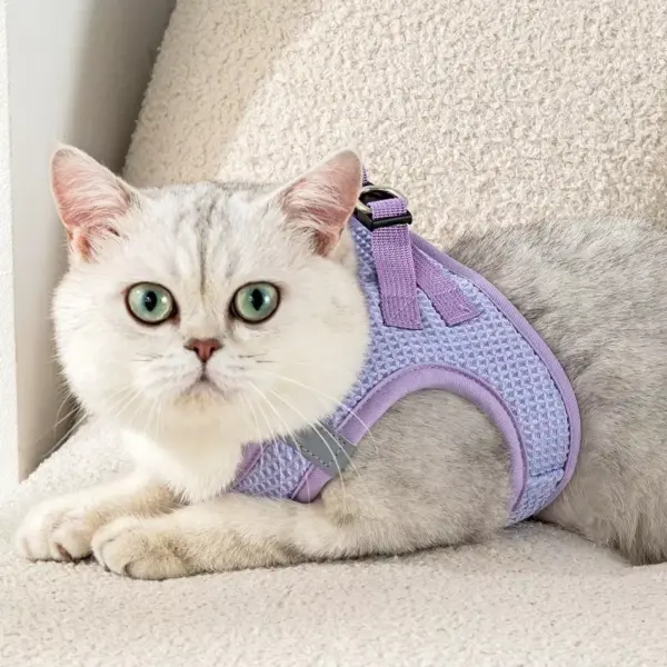 100745-763362.webp Reflective Cat & Dog Harness Leash Set
