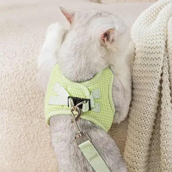 100745-8cd5ae.webp Reflective Cat & Dog Harness Leash Set