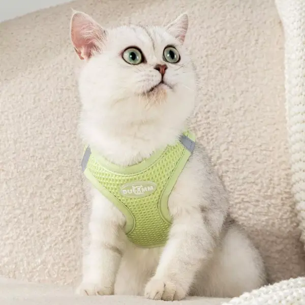 100745-f0843f.webp Reflective Cat & Dog Harness Leash Set