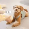 100768-8df2bf.webp Interactive Twist Bone Shaped Toy