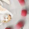 100801-7bba7e.webp Interactive USB Rechargeable Rolling Ball Toy for Cats