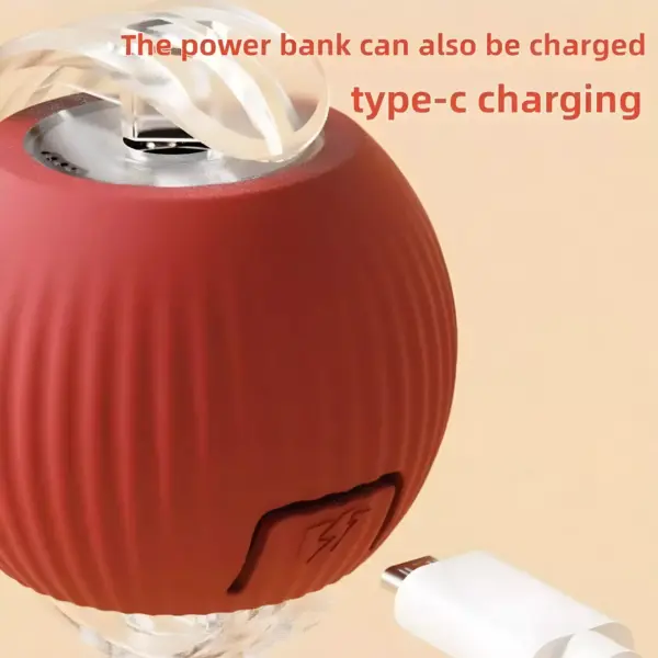 100801-a6418c.webp Interactive USB Rechargeable Rolling Ball Toy for Cats