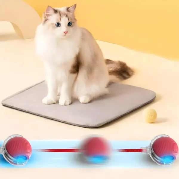 100801-bb93ca.webp Interactive USB Rechargeable Rolling Ball Toy for Cats