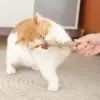100833-65d67f.webp Natural Cat Molar Stick Toy