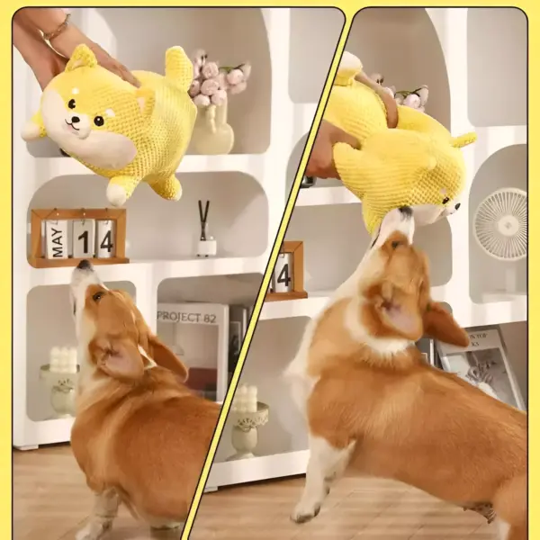 100839-ba4a82.webp Interactive Squeaky Dog & Cat Chew Toy