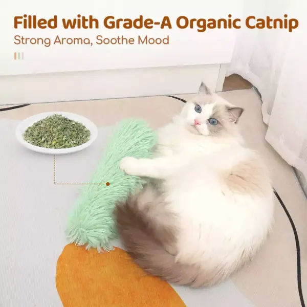 100854-3d4707.webp Interactive Catnip Plush Pillow Toy