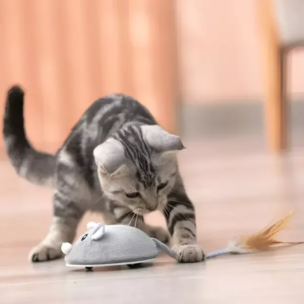 100881-4191be.webp USB Rechargeable Moving Mouse Cat Toy with Feather
