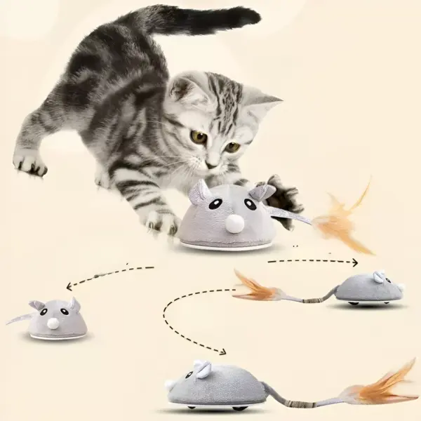 100881-9dcd50.webp USB Rechargeable Moving Mouse Cat Toy with Feather