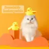 Interactive Flapping Duck Cat Toy