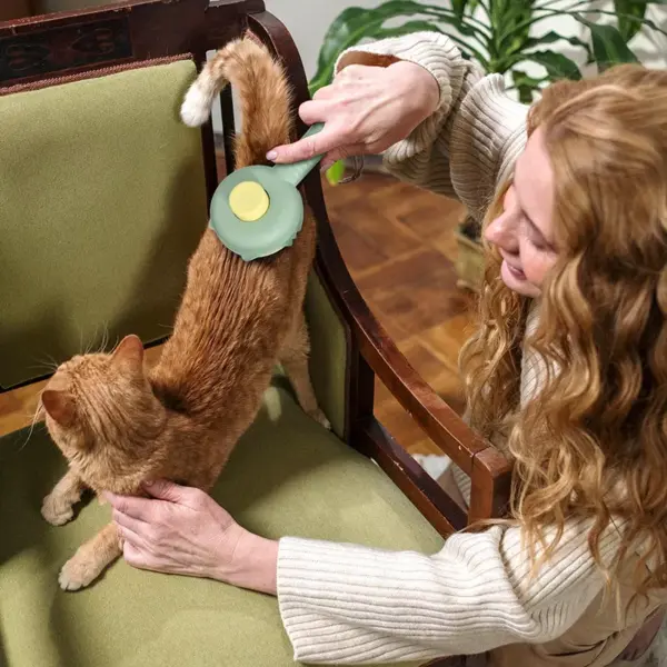100898-2ae65a.webp Self-Cleaning Pet Brush