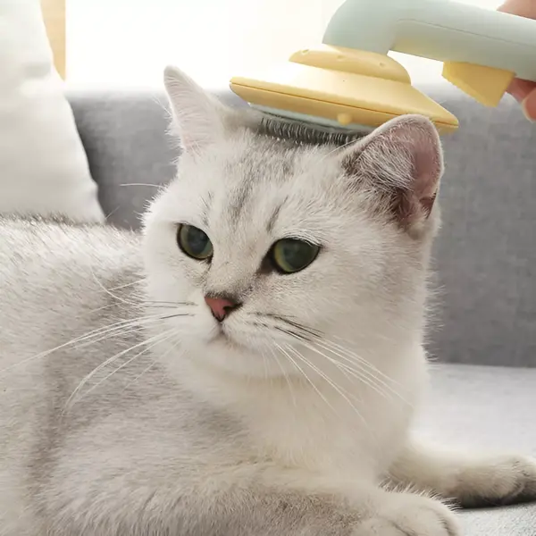 100906-2b9e37.webp Pet Hair Removal Needle Comb