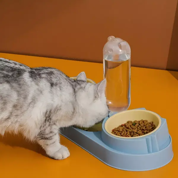Double Dog & Cat Bowls with Water Dispenser