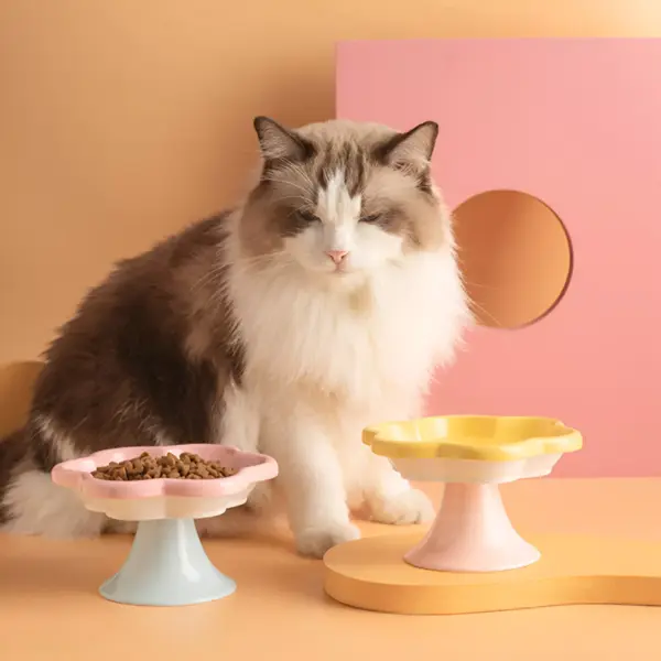 Ceramic Cat Bowl