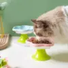 Ceramic Cat Bowl
