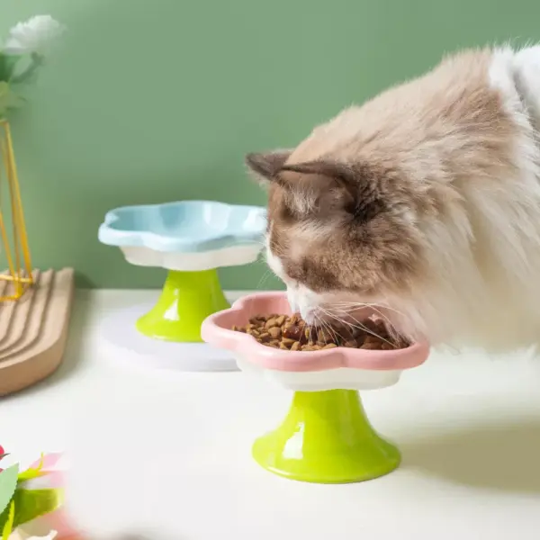 Ceramic Cat Bowl