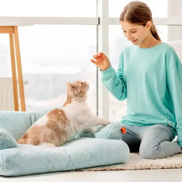 101209-461316.webp Washable Pet Sofa Bed for Small & Medium Cats and Dogs