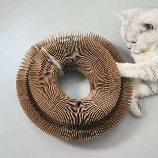102019-8e9257.webp Interactive Cat Scratching Board and Toy