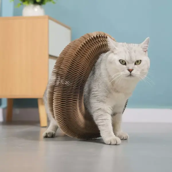 102019-e56e00.webp Interactive Cat Scratching Board and Toy