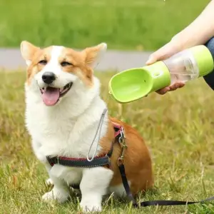 102027-48bbf4.webp Portable Dog Water Bottle
