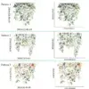 102305-0d1802.webp Green Plant Leaves Flower Wall Sticker