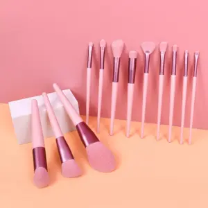 12-Piece Pink Makeup Brush Set for Foundation, Powder, Blush & Eyeshadow
