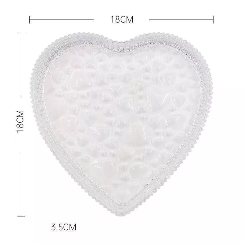 Large Plate Transparent
