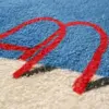 97332-d82694.webp Soft and Absorbent Cartoon Peach Heart Rug