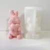 97494-1b62e4.webp Rose Rabbit Silicone Candle & Craft Mold