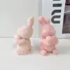 97494-ebb6ee.webp Rose Rabbit Silicone Candle & Craft Mold