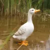 98080-5609f2.webp Charming Duck Figurine Sculptures for Home and Garden Decor