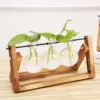 98115-158e0c.webp Rustic Wooden Frame Hydroponic Glass Vase