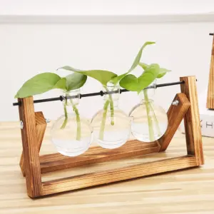 98115-158e0c.webp Rustic Wooden Frame Hydroponic Glass Vase