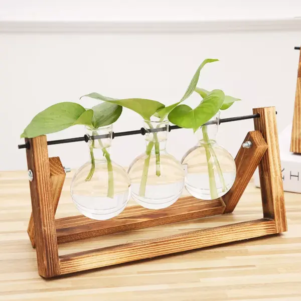 98115-158e0c.webp Rustic Wooden Frame Hydroponic Glass Vase