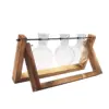 98115-23db37.webp Rustic Wooden Frame Hydroponic Glass Vase