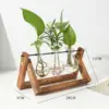 98115-c24292.webp Rustic Wooden Frame Hydroponic Glass Vase