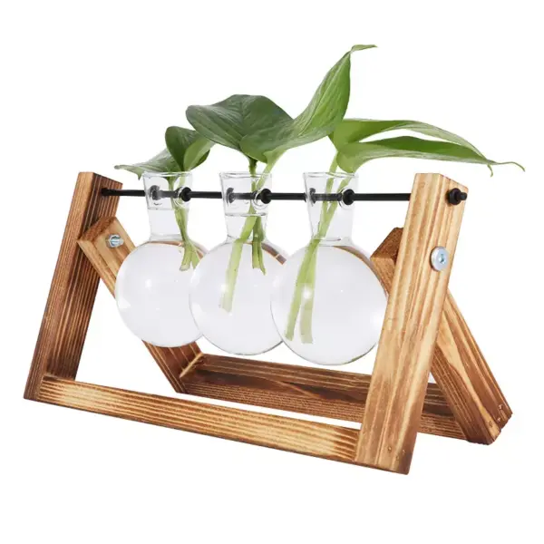 98115-ca323a.webp Rustic Wooden Frame Hydroponic Glass Vase