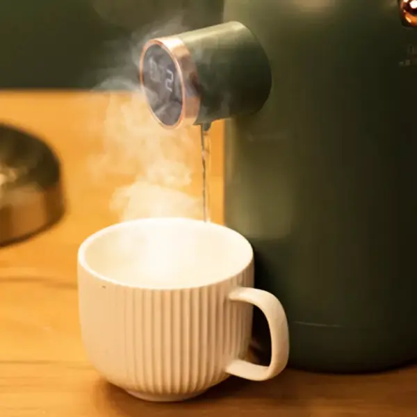 Compact 220V Instant Hot Water Dispenser with Temperature Control & Mini Pump