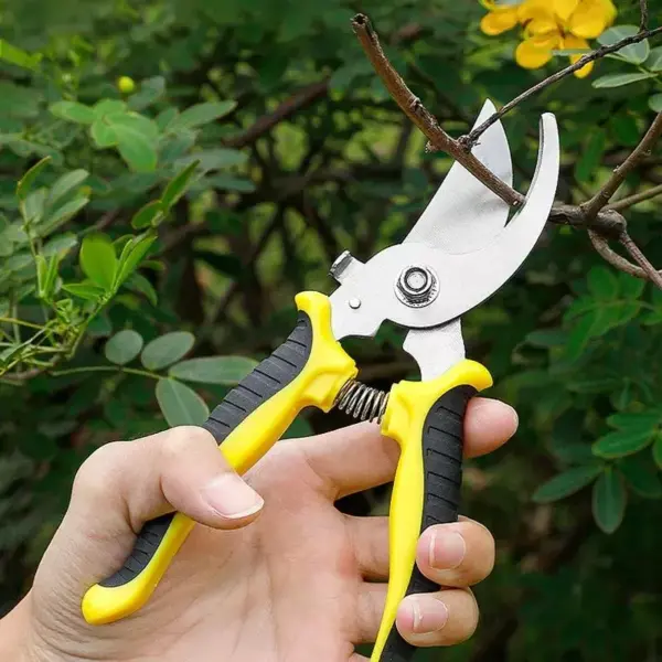 98512-4ef7bb.webp Professional Bypass Pruning Shears