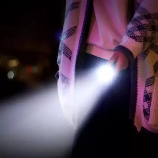 Ultra-Bright Triple LED Mini Flashlight