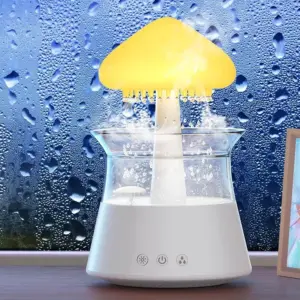 99534-9caa7e.webp Rain Cloud 300ml Aroma Diffuser & Night Light Humidifier
