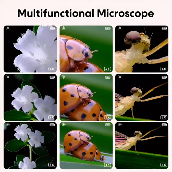 99976-b8e158.webp Kids Optical Microscope with Photo & Video Function