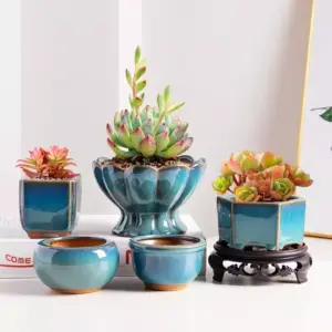 107461-a0c832.webp Elegant Glazed Ceramic Pots for Succulents and Small Plants