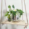 107506-a33838.webp Bohemian Chic Self-Watering Disco Ball Planter